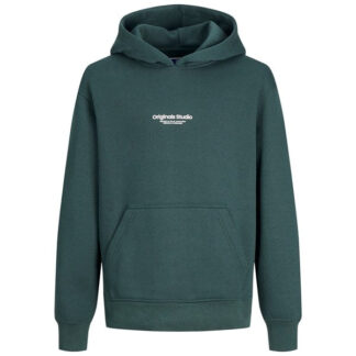 Jack & Jones Junior Magical Forest Vesterbro Sweat Hoodie Noos - Str. 176 - Jack & Jones Junior