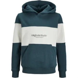 Jack & Jones Junior Magical Forest Lakewood Colorblock Sweat Hoodie - Str. 128 - Jack & Jones Junior