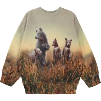 Molo Bear Life Mattis Sweatshirt - Molo