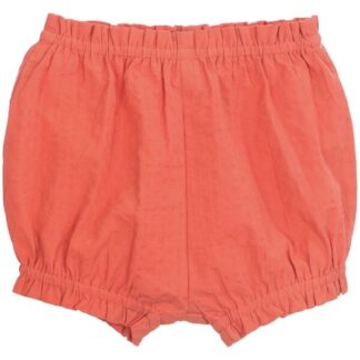 Serendipity Papaya Baby Bloomers - Serendipity