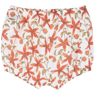 Serendipity Clematis Baby Bloomers - Serendipity