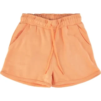 THE NEW Apricot Nectar Gia Sweatshorts - The New