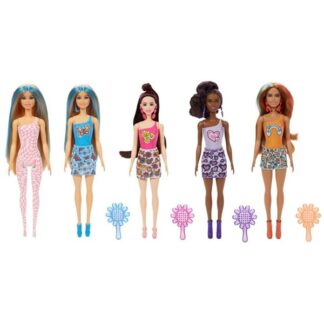 BarbieÂ® Color Reveal Rainbow Groovy Series - BarbieÂ®